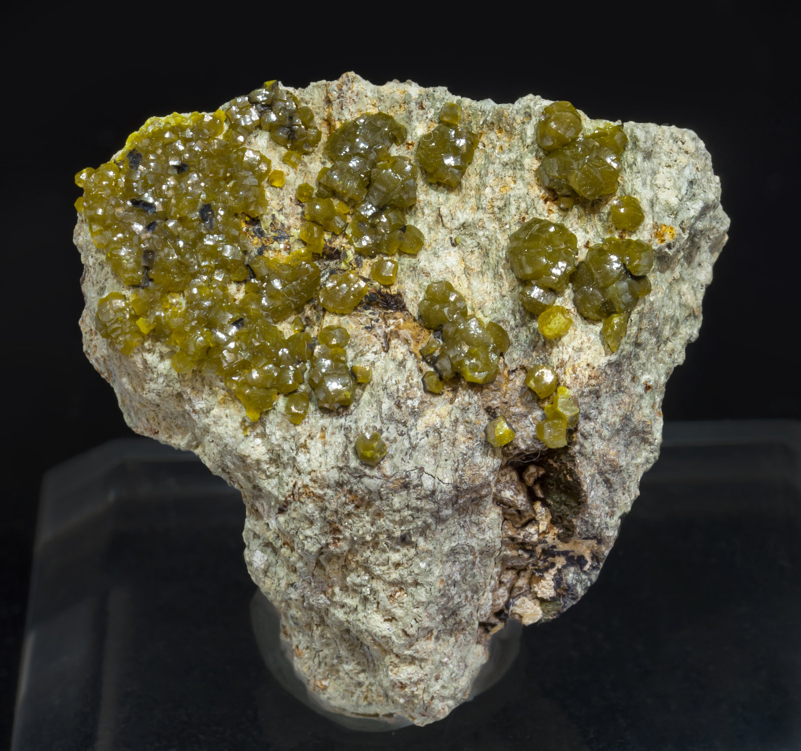 specimens/s_imagesAG0/Mimetite-NA13AG0f.jpg