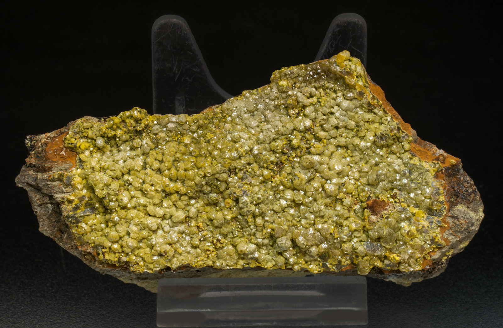 specimens/s_imagesAG0/Mimetite-NF14AG0f.jpg