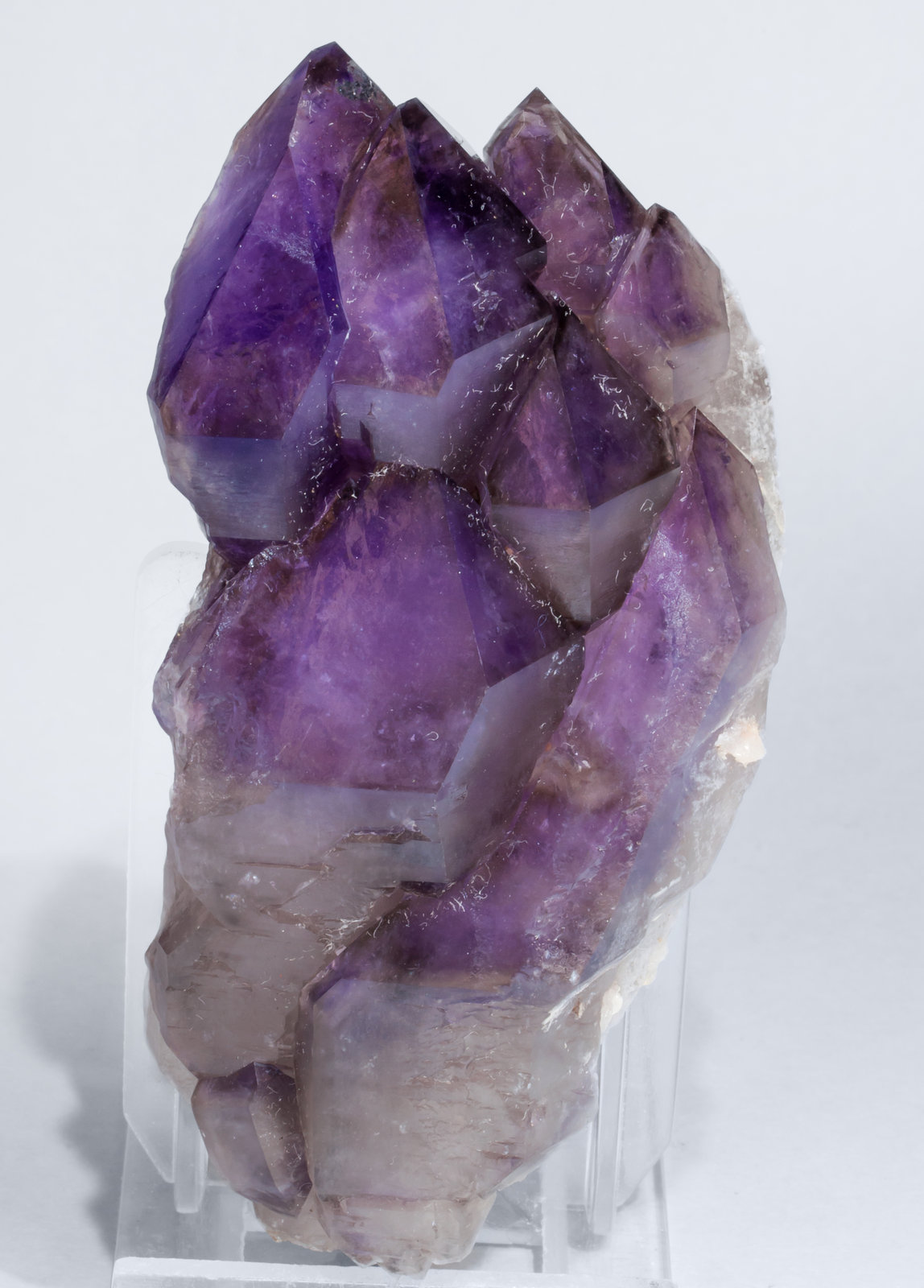 specimens/s_imagesAG0/Quartz_amethyst-DA87AG0f1.jpg