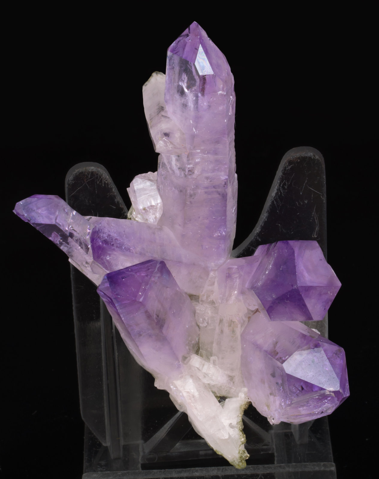 specimens/s_imagesAG0/Quartz_amethyst-DX46AG0f.jpg