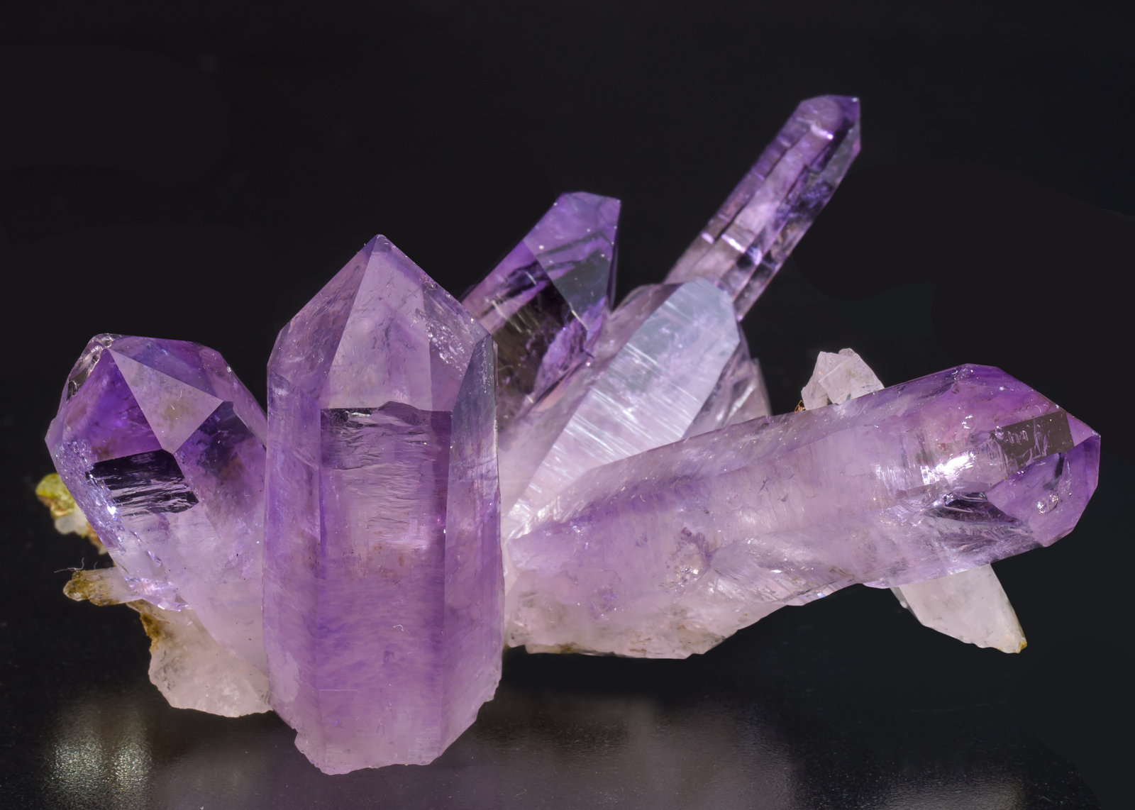 specimens/s_imagesAG0/Quartz_amethyst-DX46AG0s.jpg