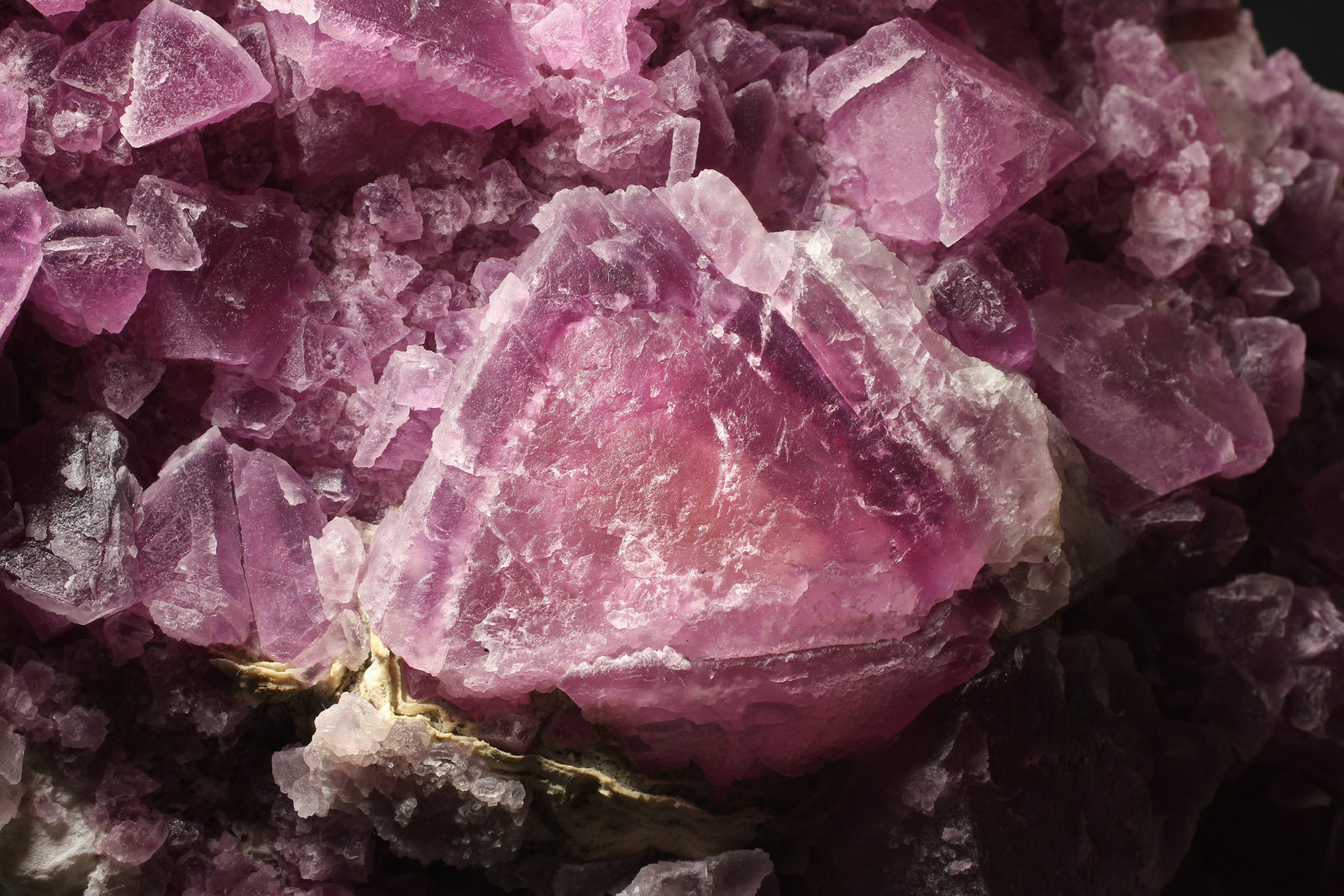 specimens/s_imagesAG1/Fluorite-TQ51AG1_8041_d1.jpg