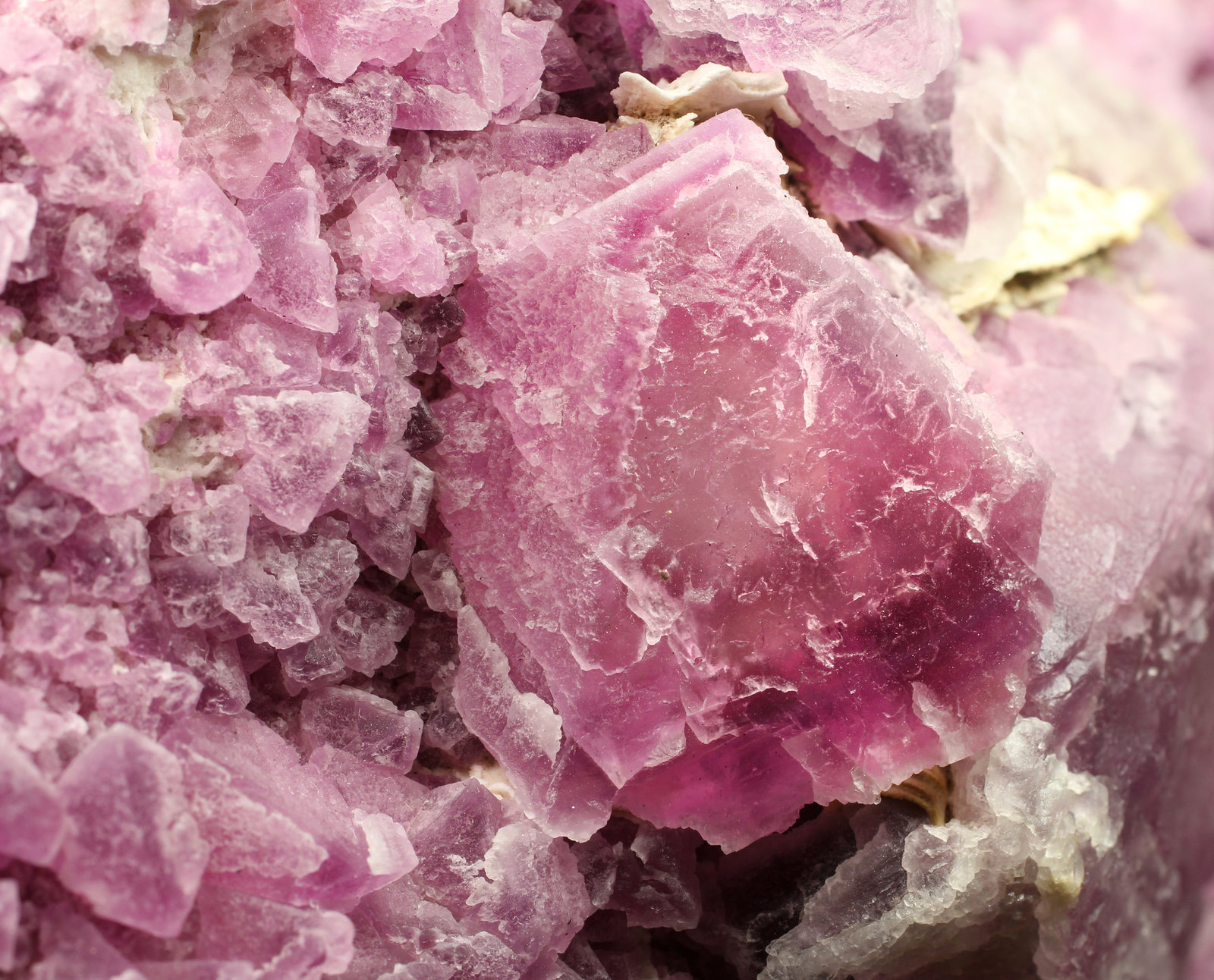 specimens/s_imagesAG1/Fluorite-TQ51AG1_8111_d3.jpg