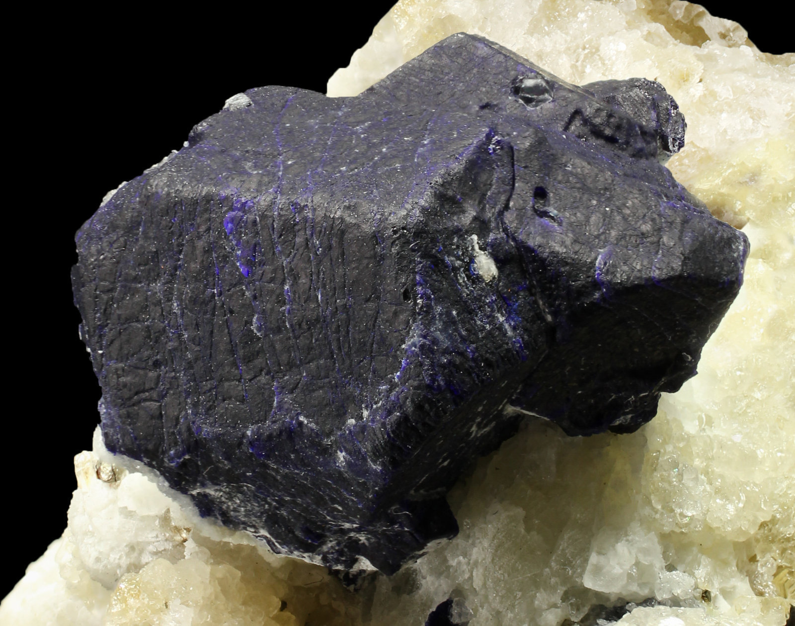 specimens/s_imagesAG1/Lazurite-EQ96AG1_7460_d1.jpg