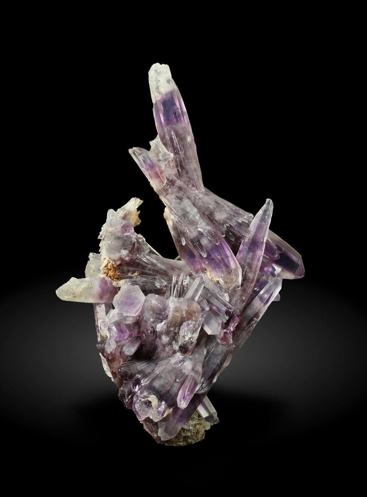 specimens/s_imagesAG1/Quartz_amethyst-TB91AG1_8209_f.jpg