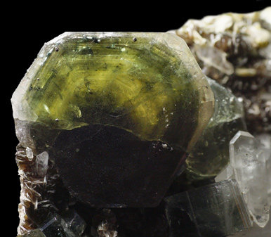 Fluorapatite with Quartz and Muscovite. 