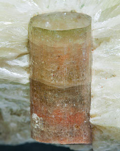 Fluorapatite with Prehnite. 
