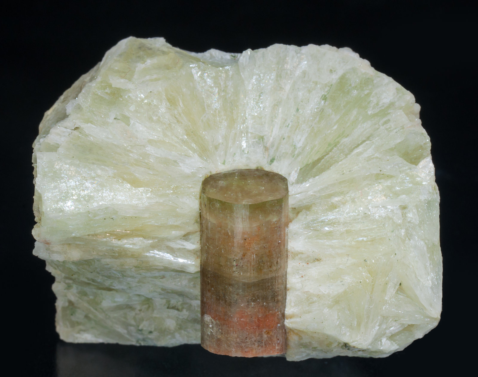 specimens/s_imagesAG3/Fluorapatite-MZ98AG3f.jpg