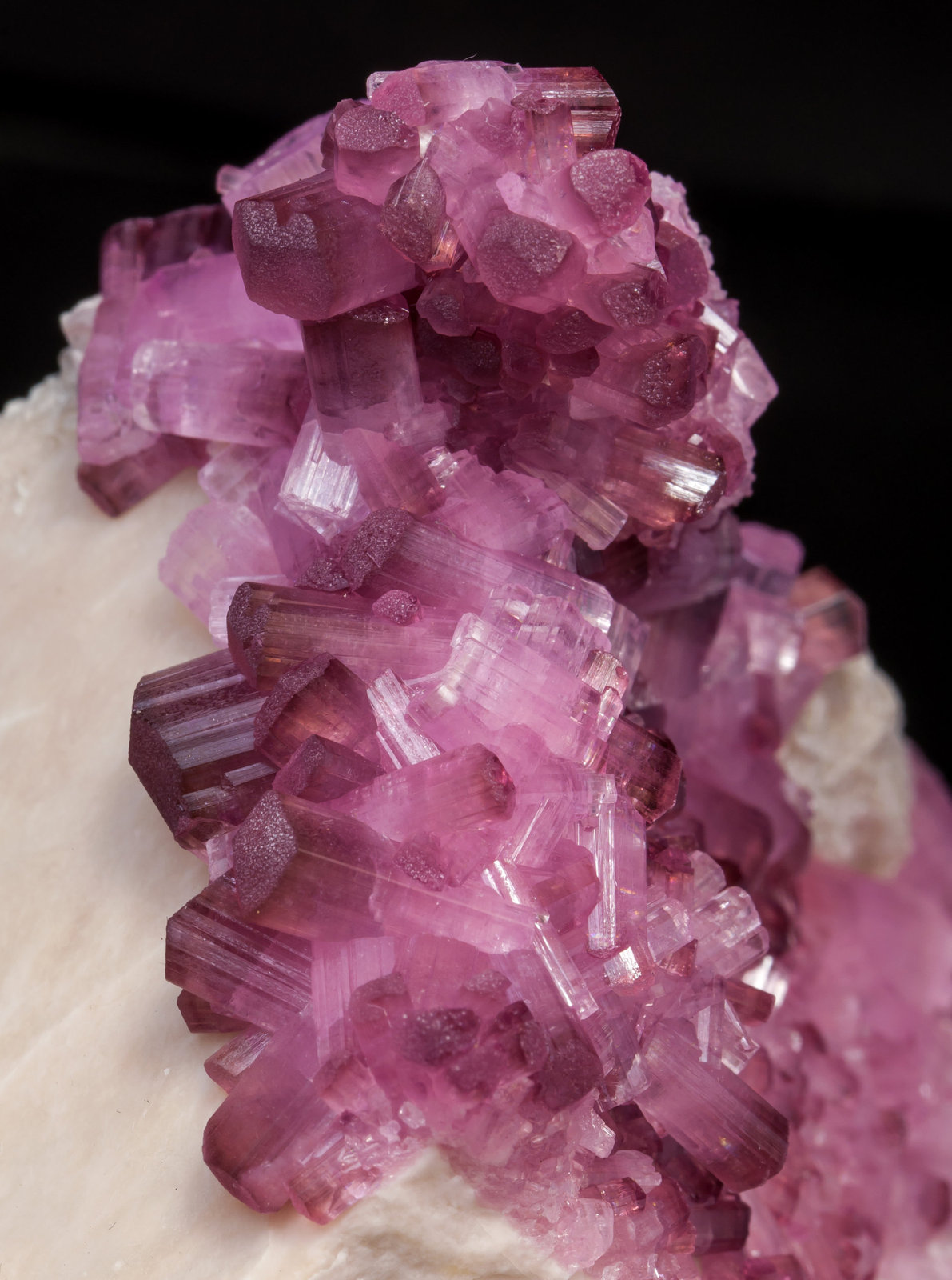 specimens/s_imagesAG4/Elbaite_rubellite-EY16AG4d.jpg