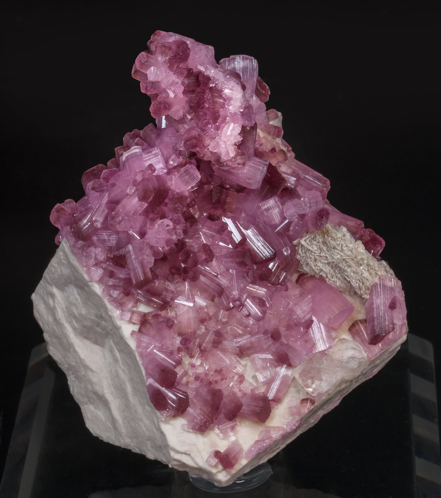 specimens/s_imagesAG4/Elbaite_rubellite-EY16AG4f.jpg