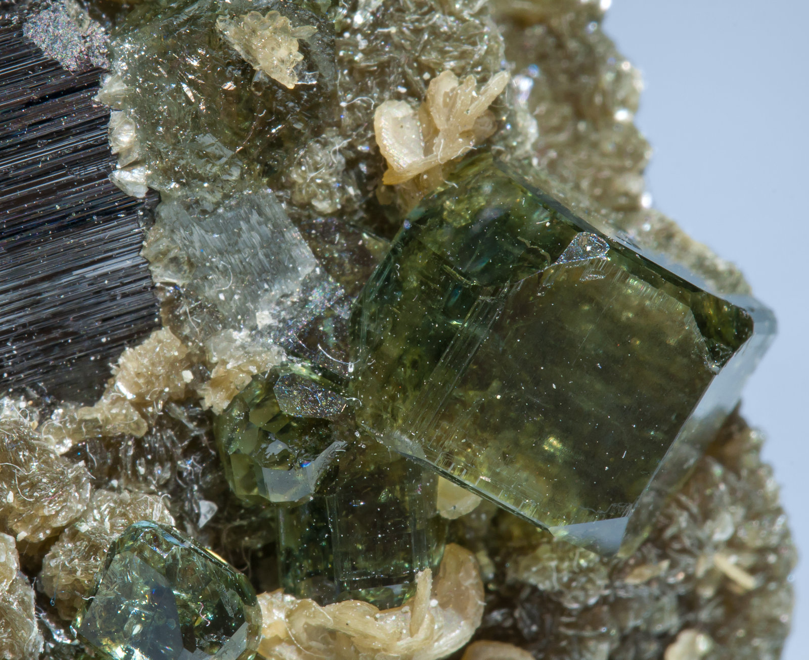 specimens/s_imagesAG4/Fluorapatite-NC97AG4d.jpg