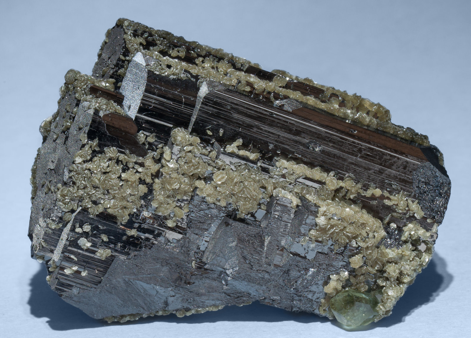 specimens/s_imagesAG4/Fluorapatite-NC97AG4r.jpg