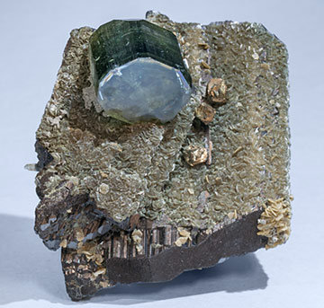 Fluorapatite with Ferberite, Siderite, Muscovite and Pyrite.