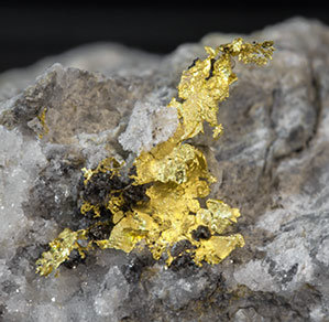 Gold with Sphalerite and Quartz. 