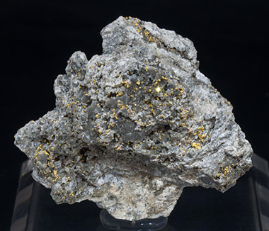 Gold with Quartz (variety chalcedony). 