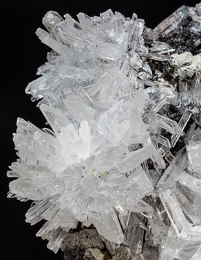 Olshanskyite with Roweite and Andradite. 