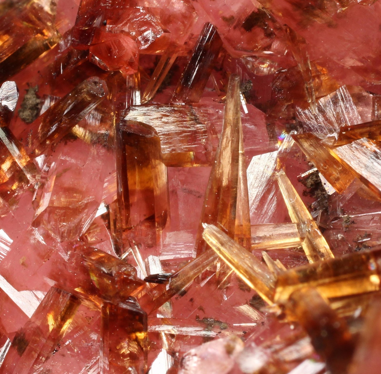 specimens/s_imagesAG6/Rhodochrosite-MQ53AG6_9136_d1.jpg