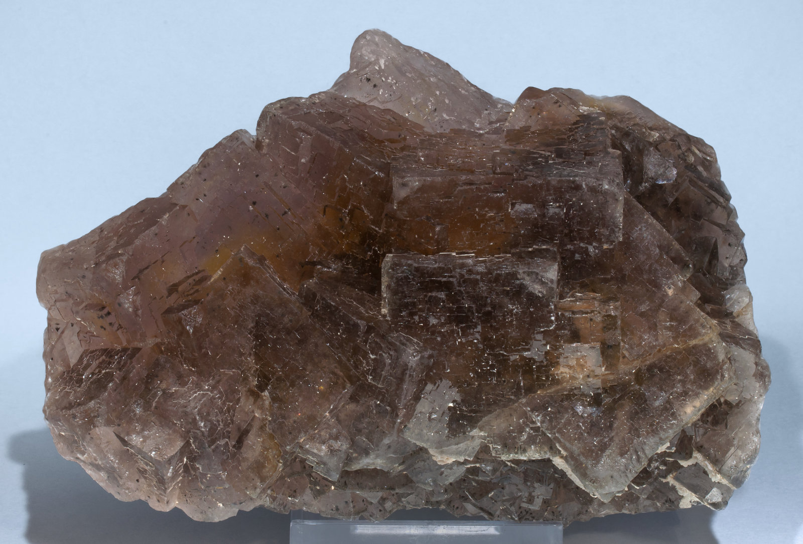 specimens/s_imagesAG7/Fluorite-ET86AG7f.jpg