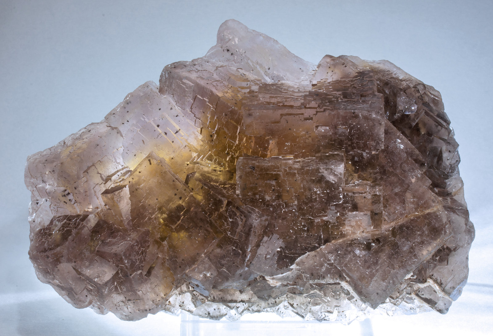 specimens/s_imagesAG7/Fluorite-ET86AG7f2.jpg