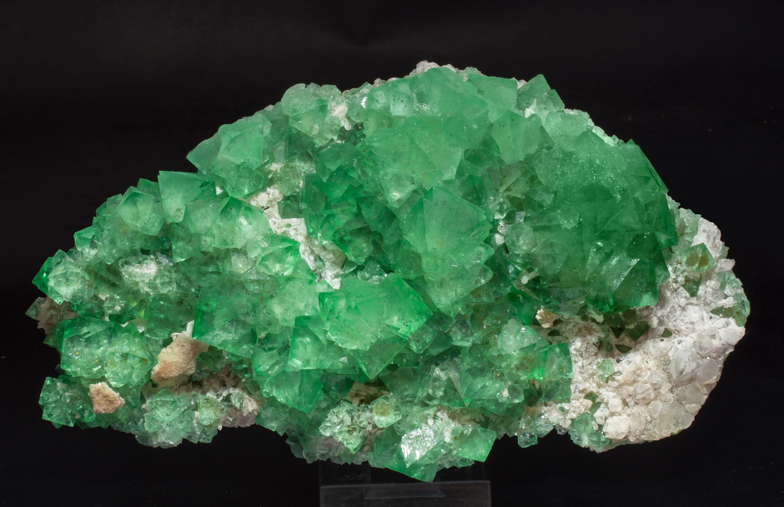 specimens/s_imagesAG7/Fluorite-MT56AG7f.jpg