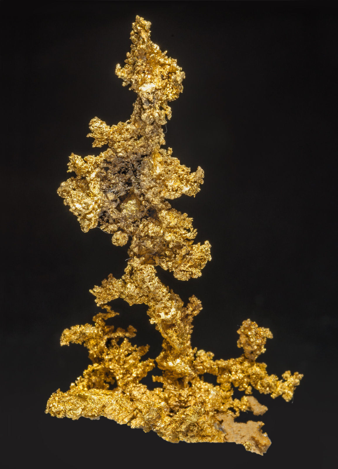 specimens/s_imagesAG7/Gold-MT86AG7r.jpg