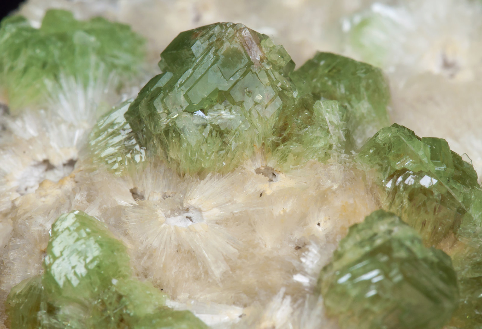 specimens/s_imagesAG7/Grossular_demantoid-NT37AG7d.jpg