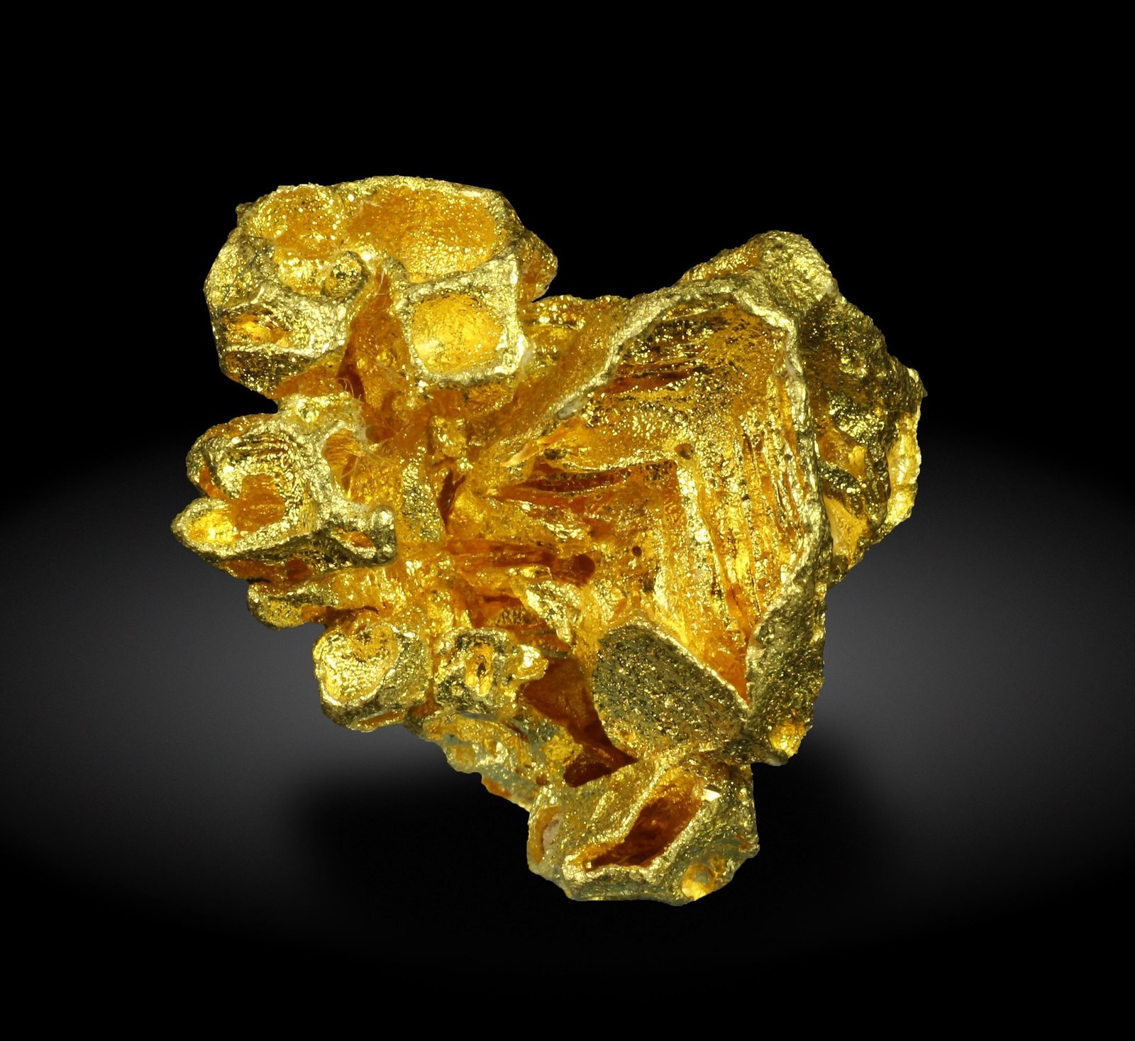 specimens/s_imagesAG8/Gold-TM88AG8_9296_f.jpg
