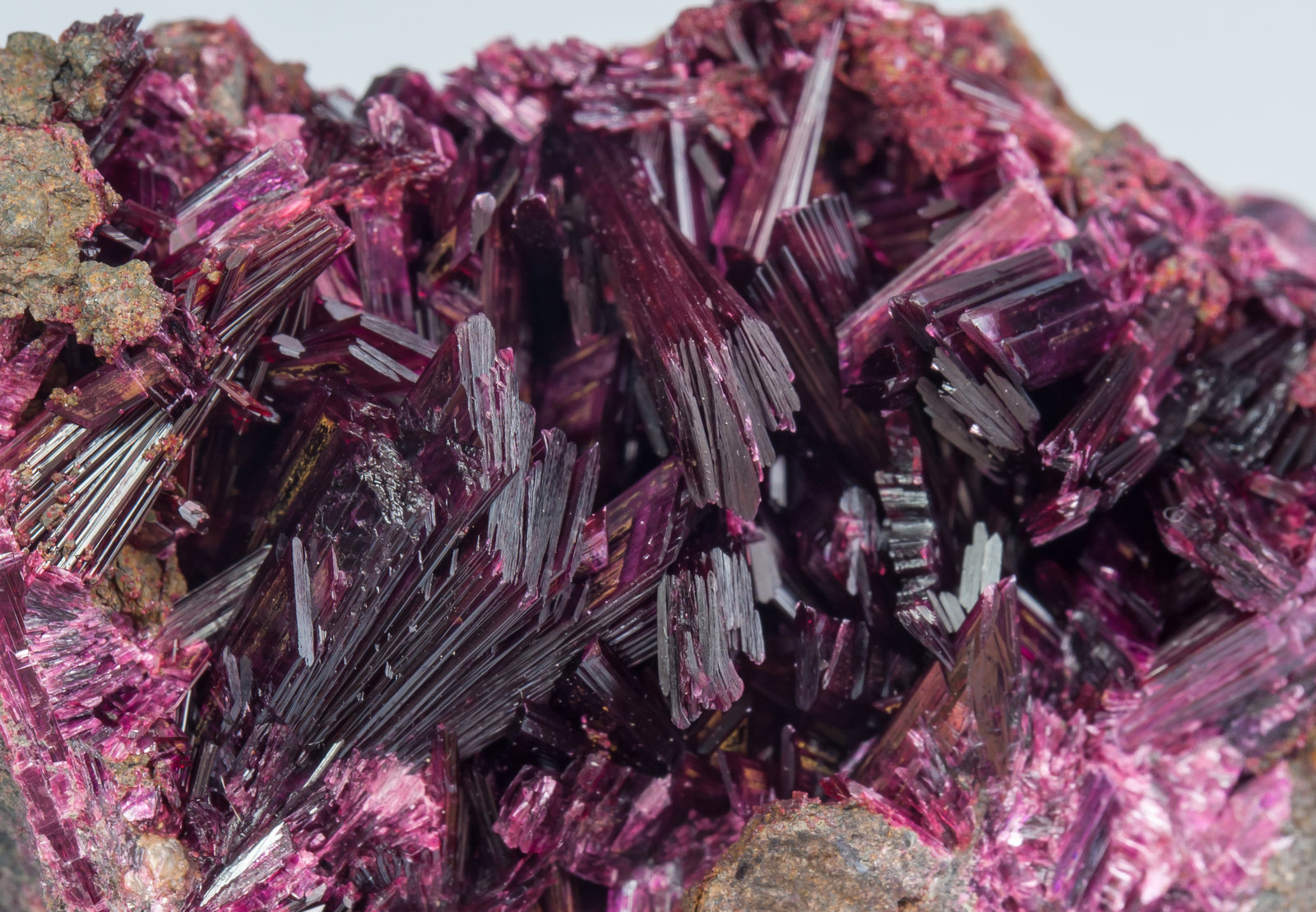 specimens/s_imagesAG9/Erythrite-VM68AG9d1.jpg