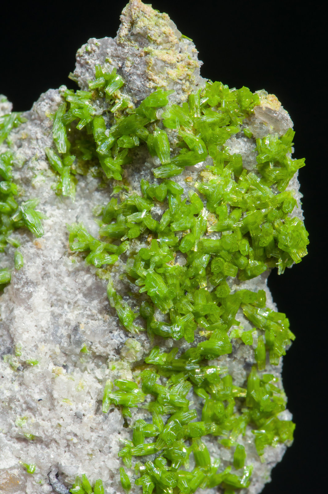 specimens/s_imagesAG9/Pyromorphite-EZ46AG9d.jpg