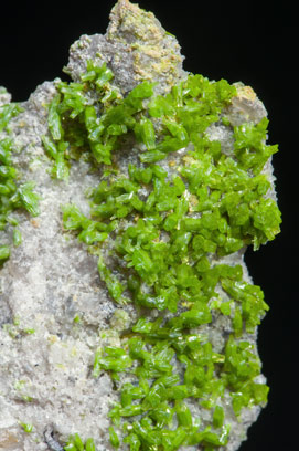 Pyromorphite. 