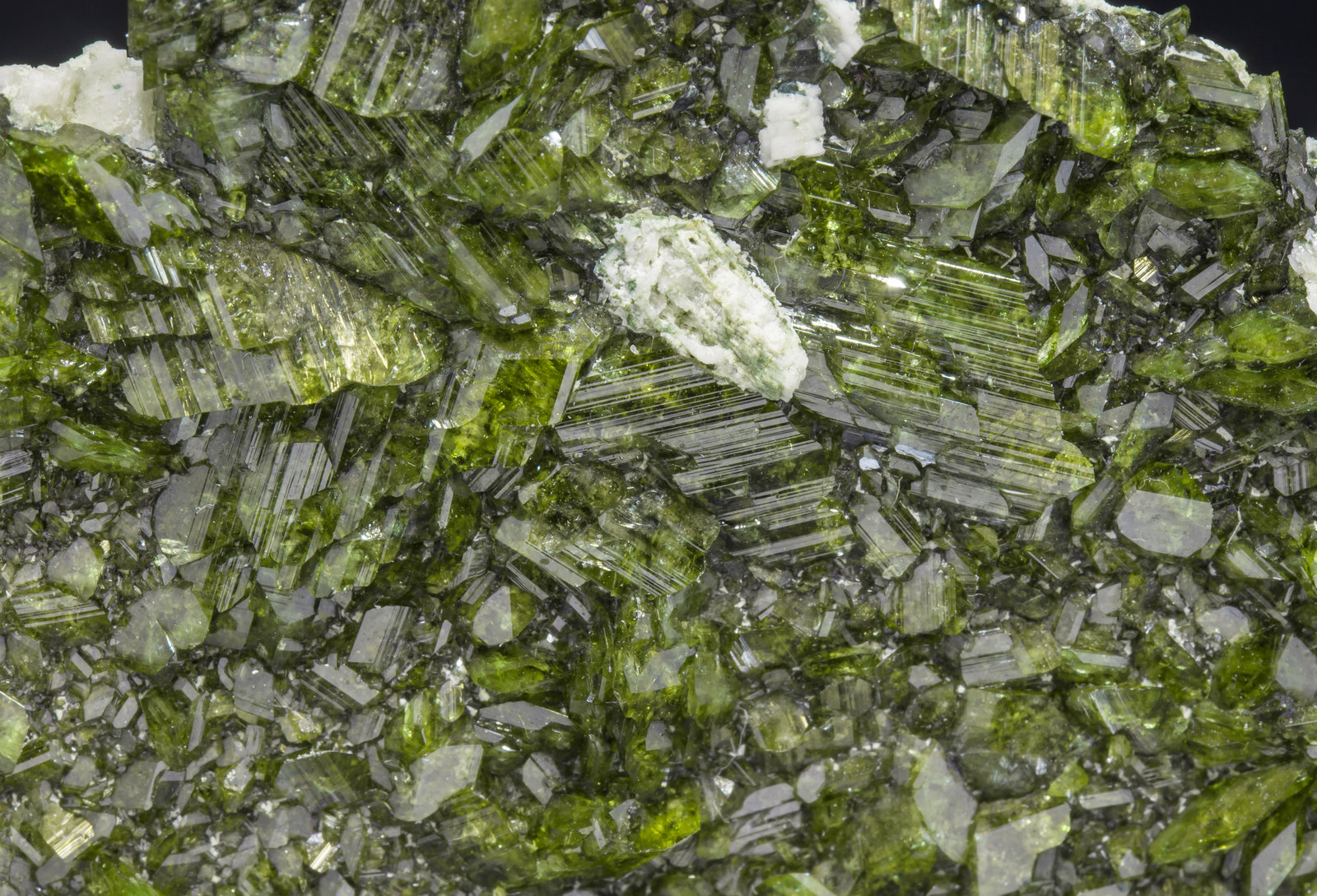 specimens/s_imagesAG9/Titanite-EF90AG9d.jpg