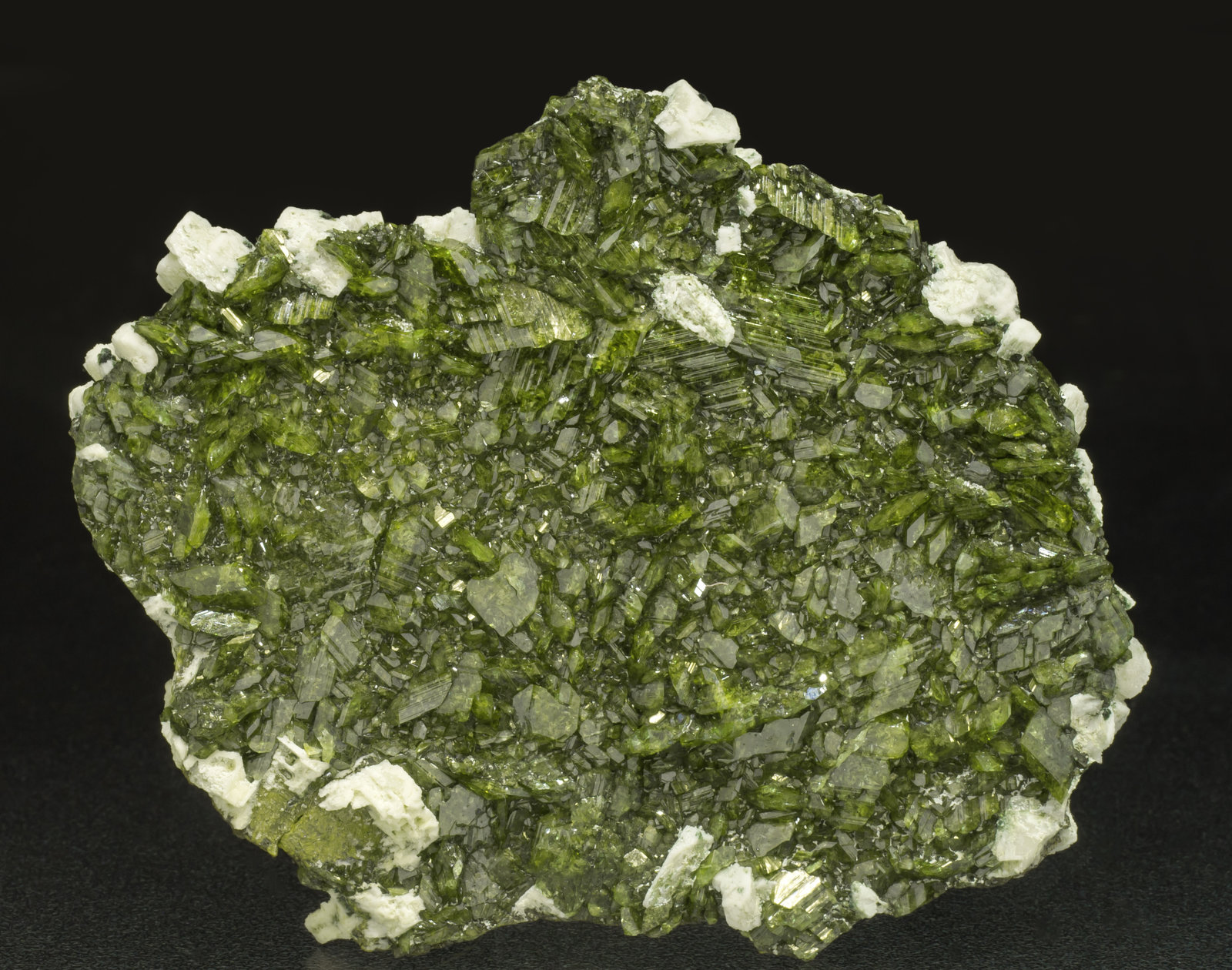 specimens/s_imagesAG9/Titanite-EF90AG9f.jpg