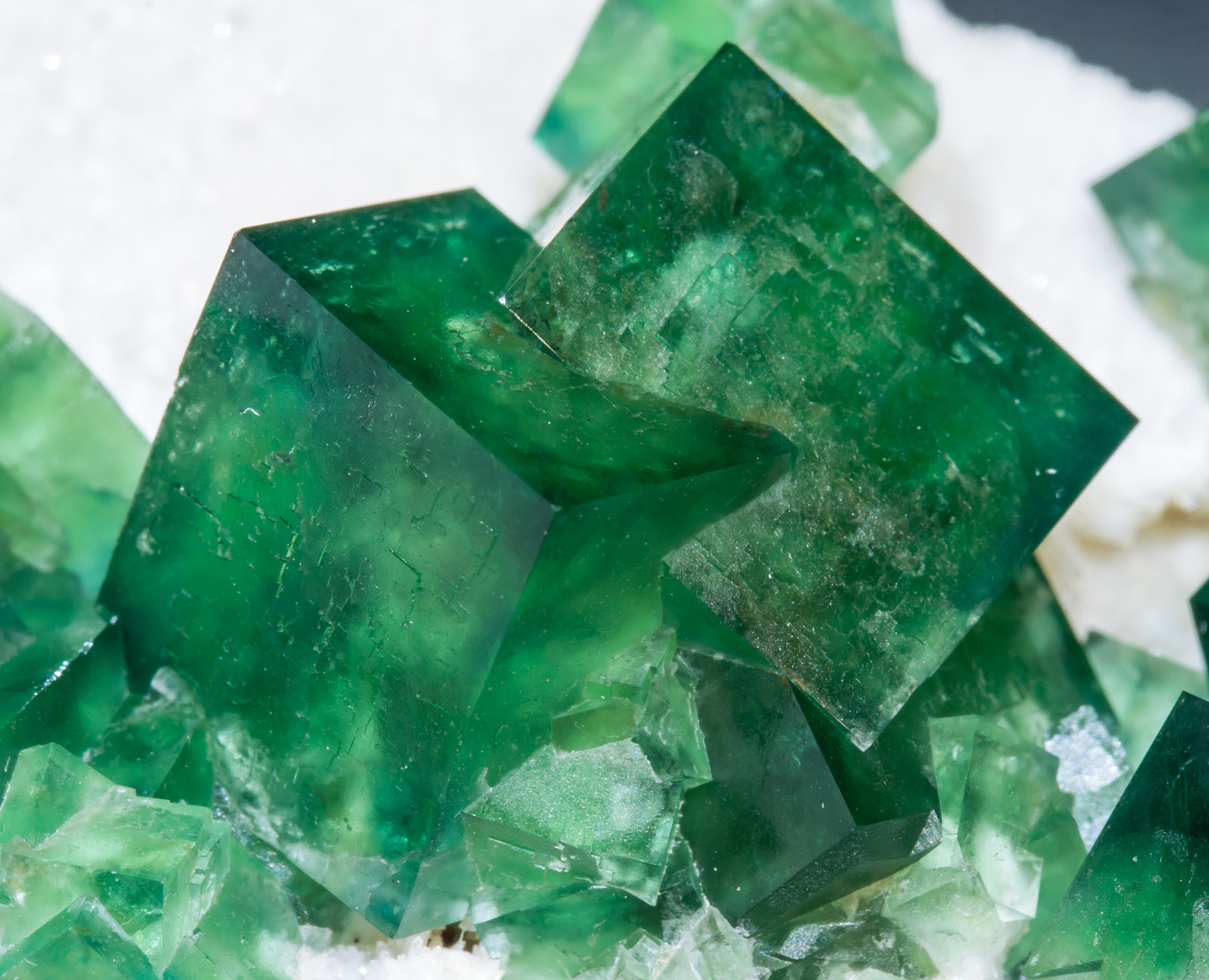 specimens/s_imagesAH0/Fluorite-TQ49AH0d.jpg