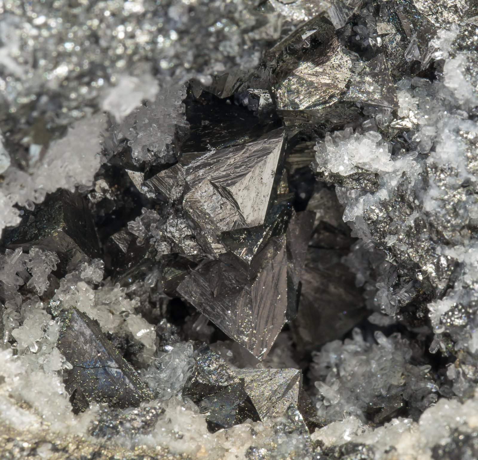 specimens/s_imagesAH0/Freibergite-EF27AH0d.jpg