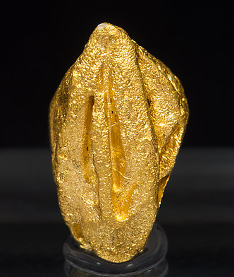 Oro. Vista posterior