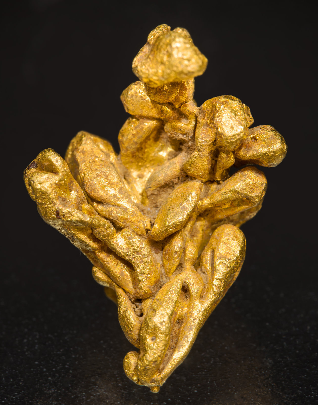 specimens/s_imagesAH0/Gold-TG6AH0f.jpg