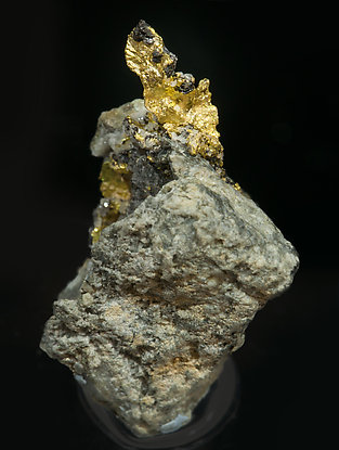 Gold with Sphalerite.