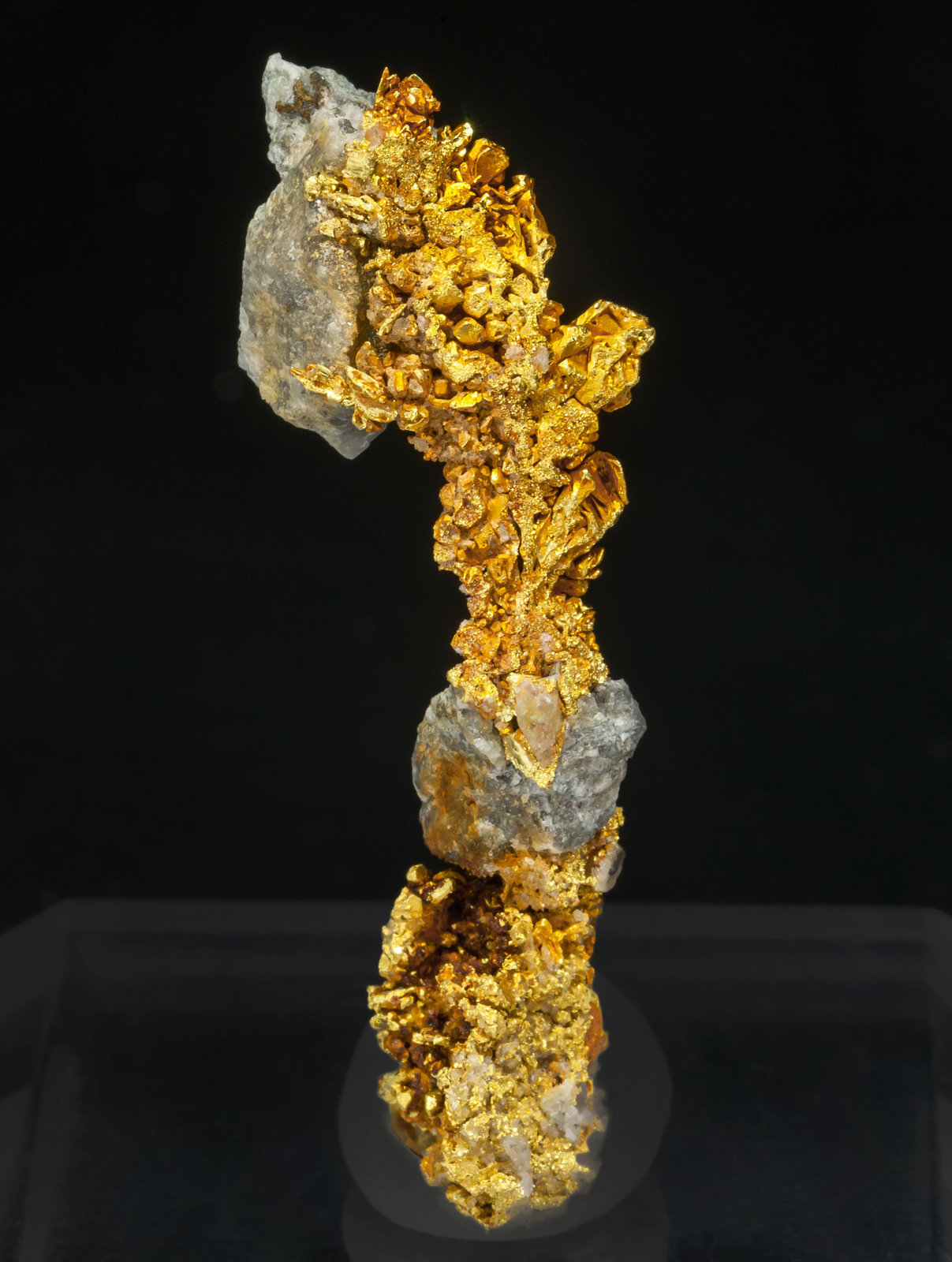 specimens/s_imagesAH2/Gold-EM76AH2r.jpg