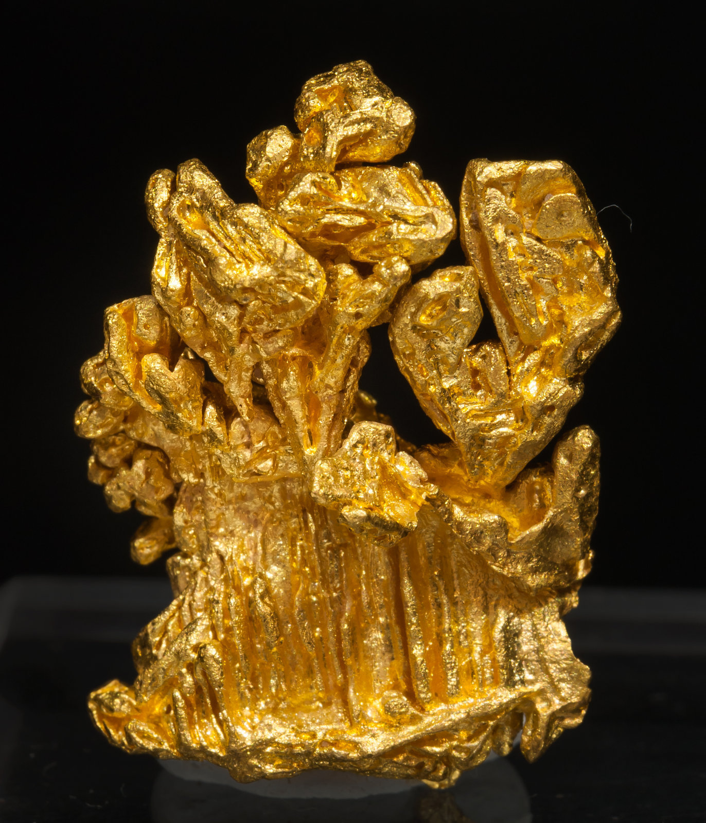 specimens/s_imagesAH2/Gold-TQ57AH2r.jpg