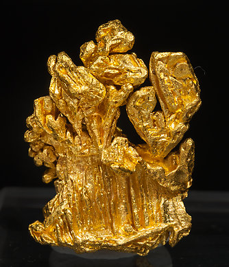 Oro. Vista posterior