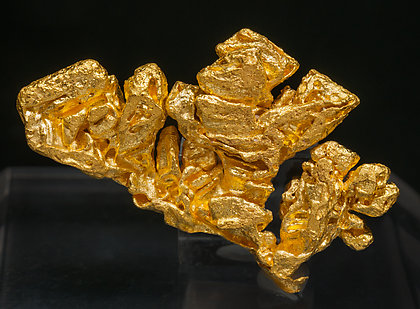 Gold. Front