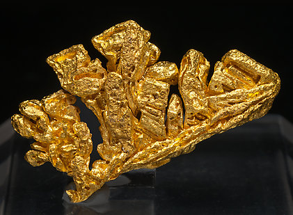 Oro. Vista posterior