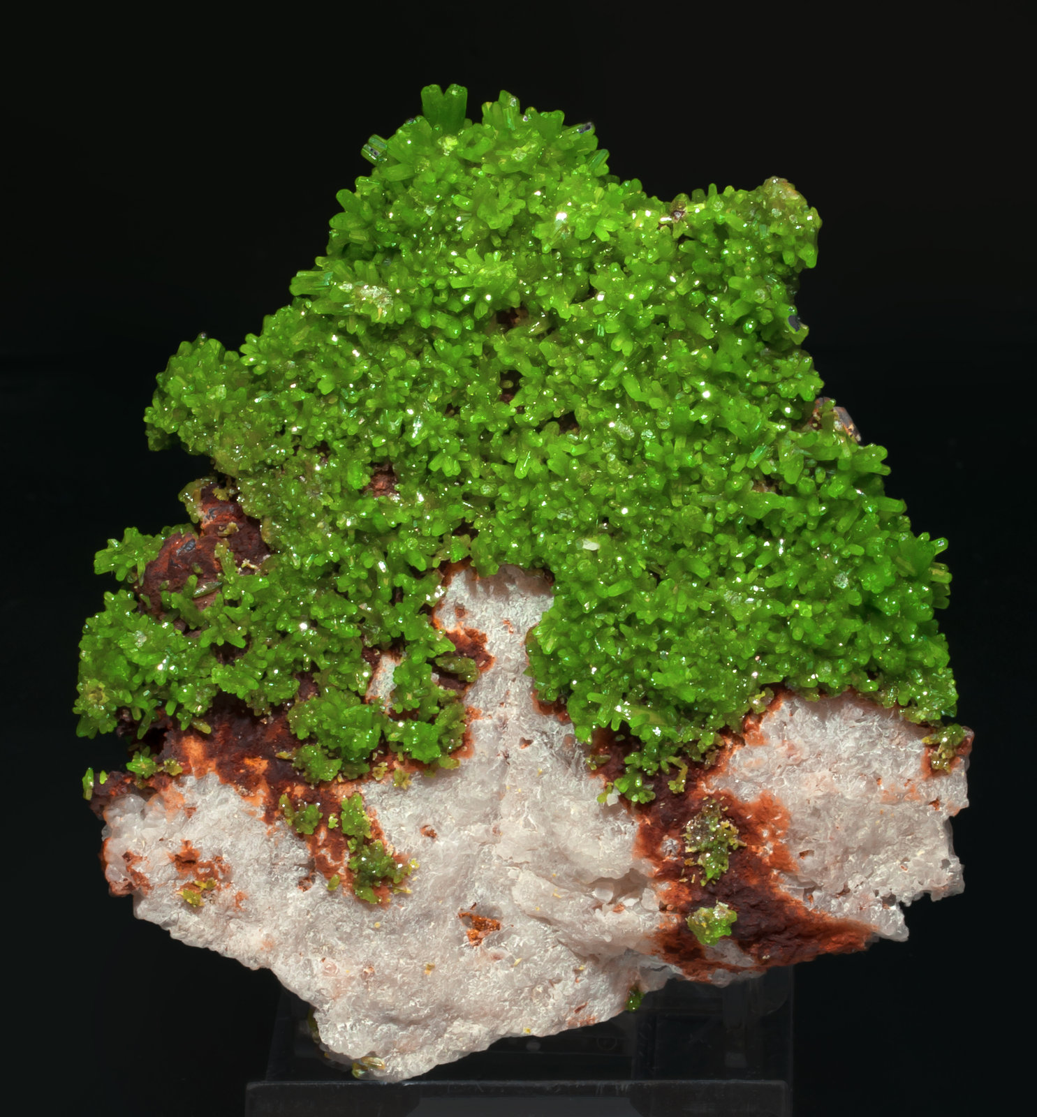 specimens/s_imagesAH2/Pyromorphite-TD47AH2f.jpg