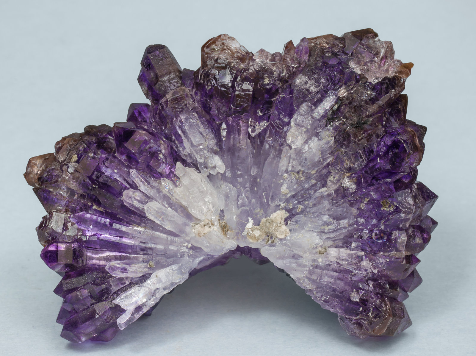 specimens/s_imagesAH2/Quartz_amethyst-TJ56AH2r.jpg