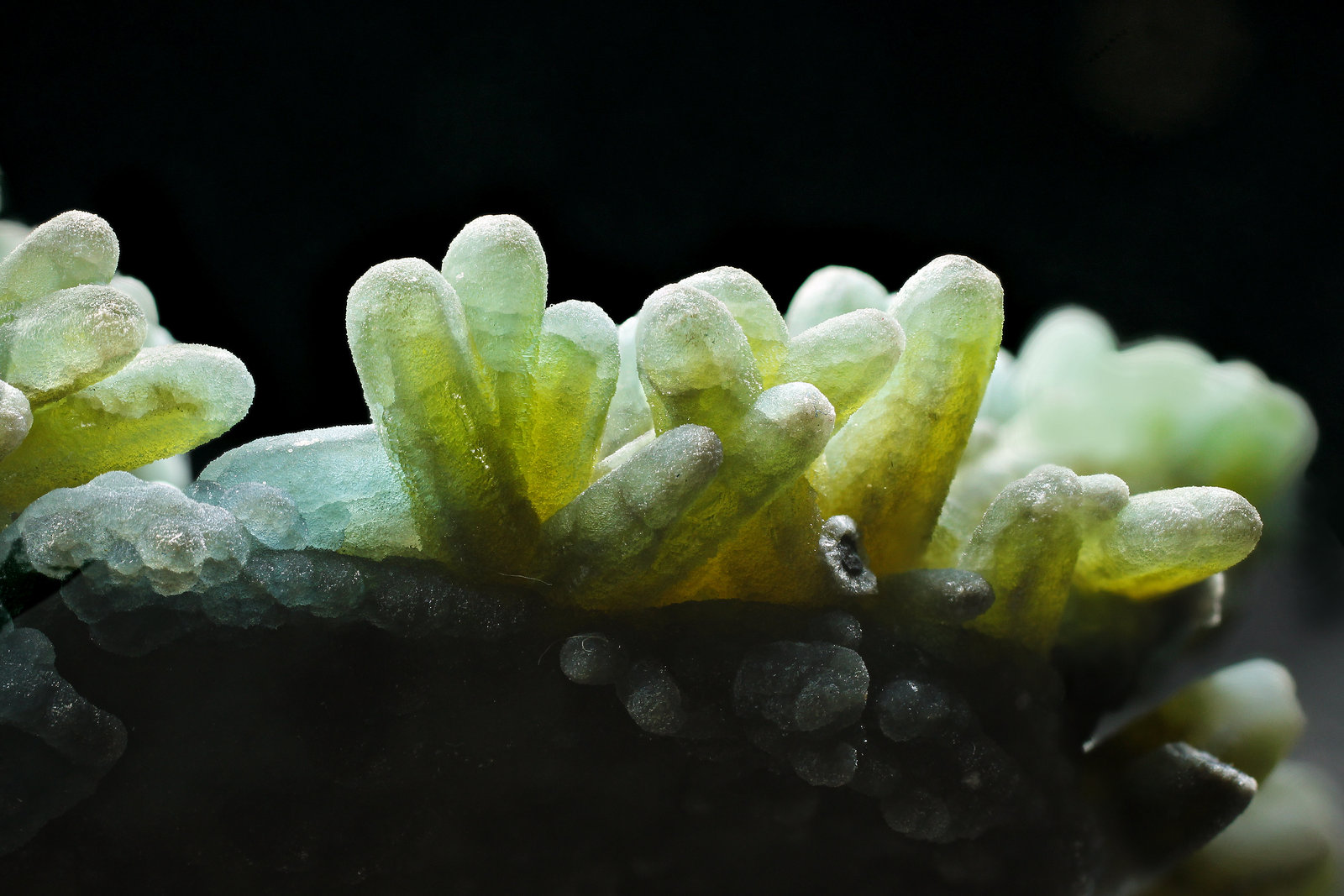 specimens/s_imagesAH3/Pyromorphite-MA86AH3_0963_d2.jpg