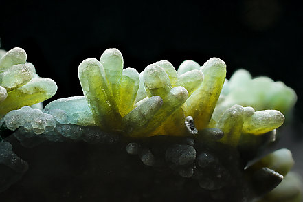 Plumbogummite with Pyromorphite. 