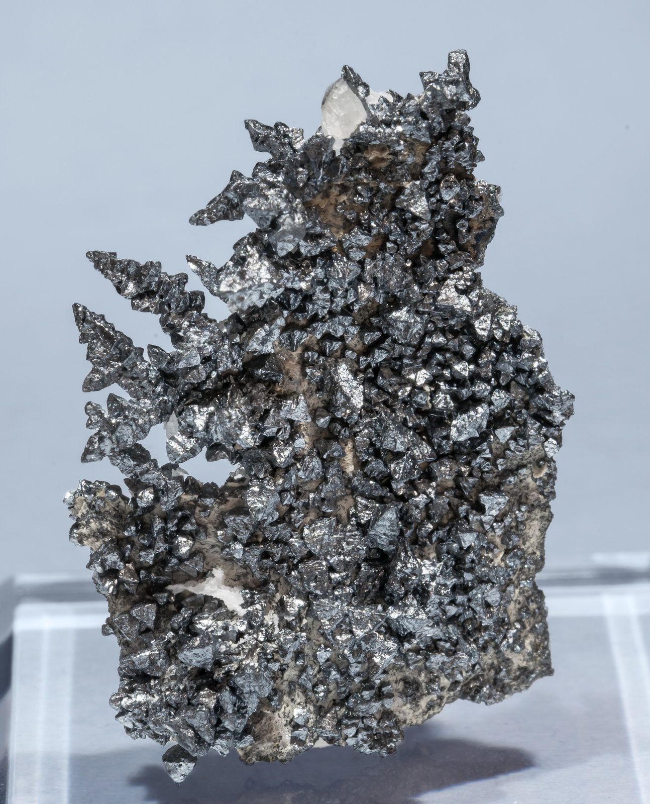 specimens/s_imagesAH4/Acanthite-NR56AH4f.jpg