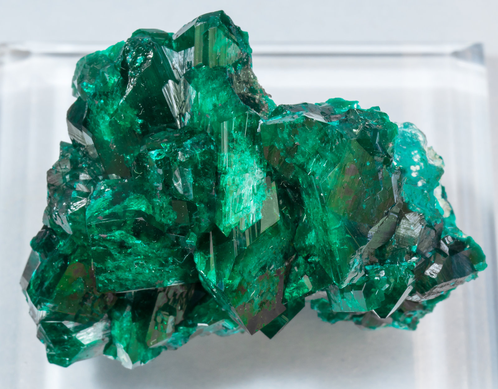 specimens/s_imagesAH4/Dioptase-CP69AH4t.jpg