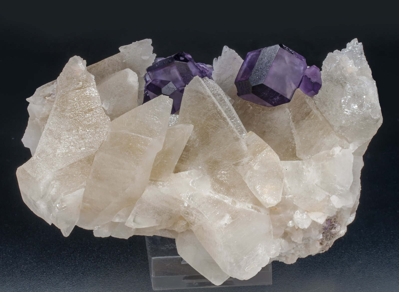 specimens/s_imagesAH4/Fluorite-MG96AH4f.jpg