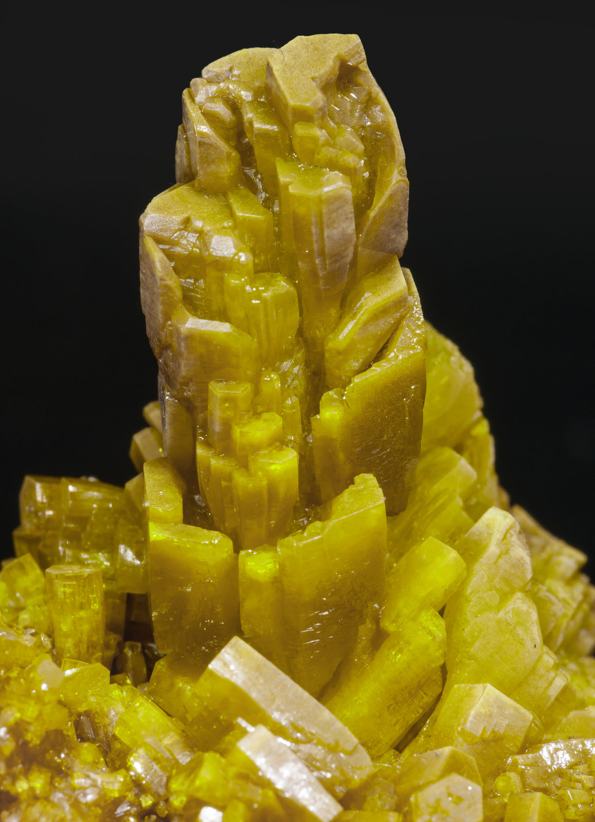 specimens/s_imagesAH4/Pyromorphite-TP27AH4d.jpg